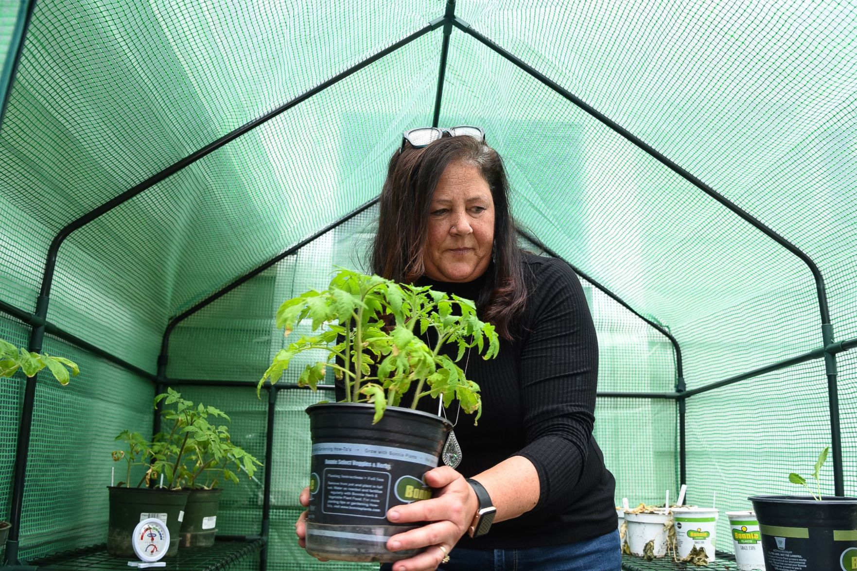 In the greenhouse